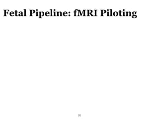 Fetal Pipeline: fMRI Piloting
!20
 