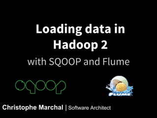 Loading data in
Hadoop 2
with SQOOP and Flume

Christophe Marchal | Software Architect

 