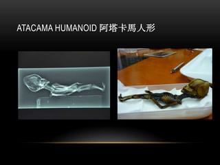 ATACAMA HUMANOID 阿塔卡馬人形
 