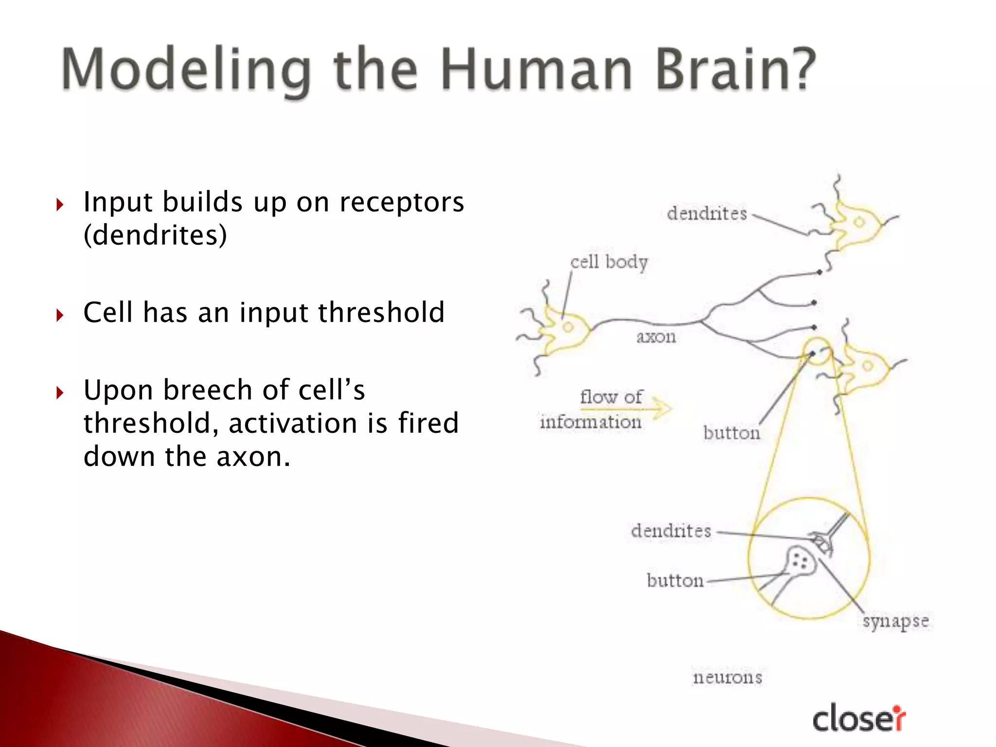 





Input builds up on receptors
(dendrites)
Cell has an input threshold
Upon breech of cell’s
threshold, activation is fired
down the axon.

 