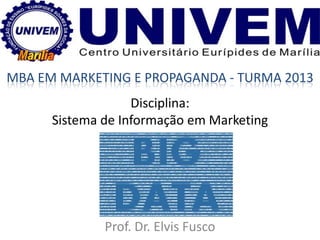 Disciplina:
Sistema de Informação em Marketing
Prof. Dr. Elvis Fusco
MBA EM MARKETING E PROPAGANDA - TURMA 2013
 