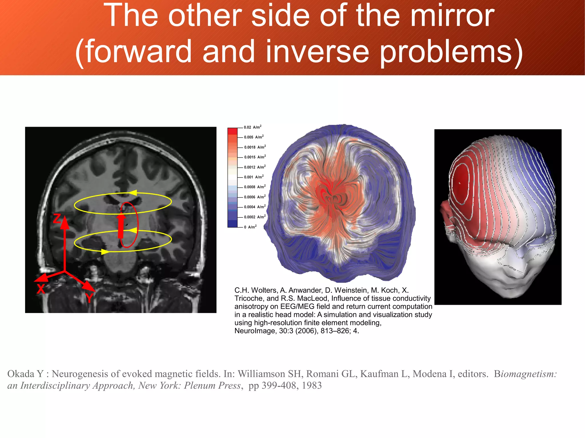 X
Y
Z
Okada Y : Neurogenesis of evoked magnetic fields. In: Williamson SH, Romani GL, Kaufman L, Modena I, editors. Biomagnetism:
an Interdisciplinary Approach, New York: Plenum Press, pp 399-408, 1983
`
C.H. Wolters, A. Anwander, D. Weinstein, M. Koch, X.
Tricoche, and R.S. MacLeod, Influence of tissue conductivity
anisotropy on EEG/MEG field and return current computation
in a realistic head model: A simulation and visualization study
using high-resolution finite element modeling,
NeuroImage, 30:3 (2006), 813–826; 4.
The other side of the mirror
(forward and inverse problems)
 