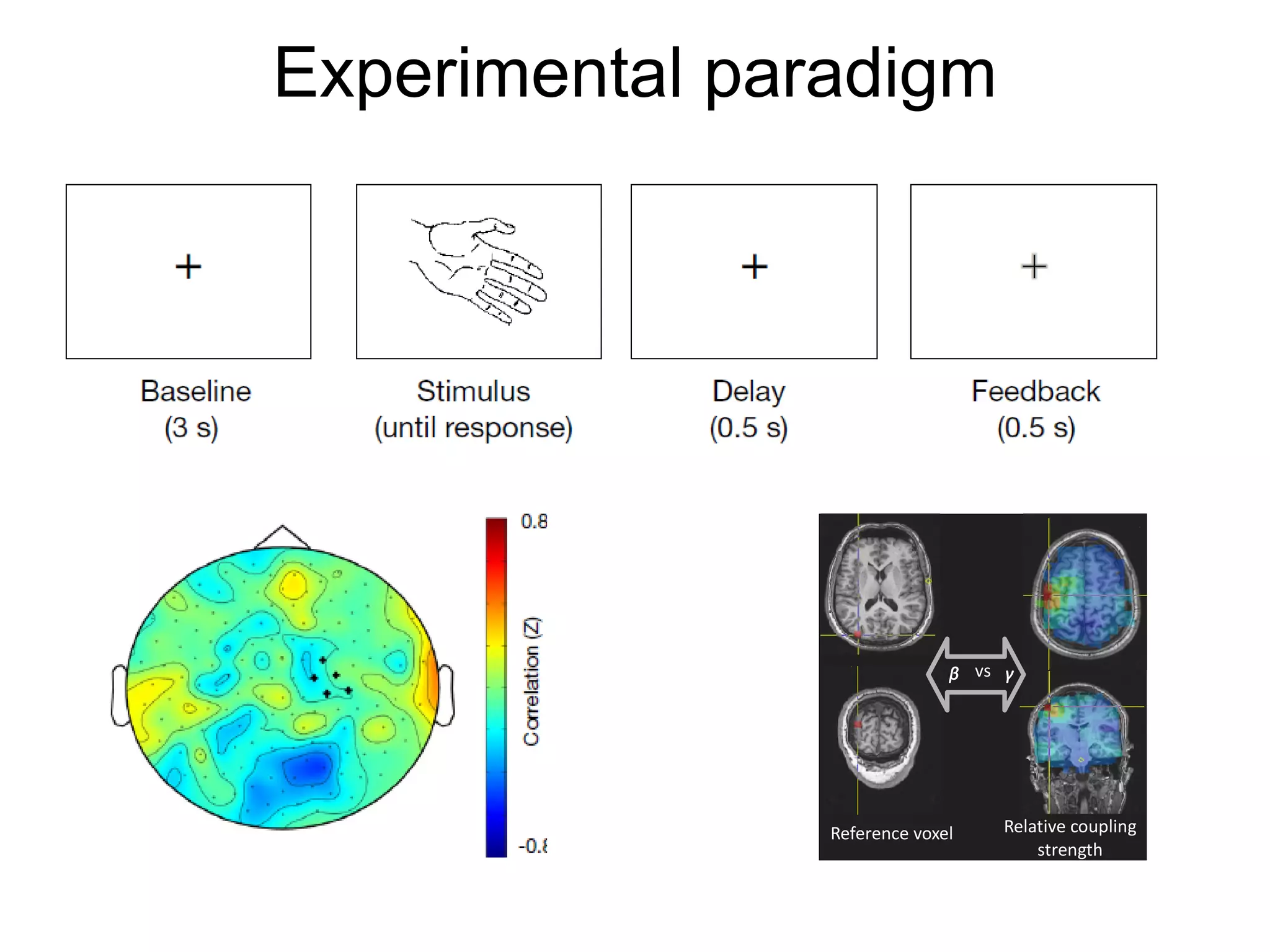 Experimental paradigm
ᵦ vs ᵧ
Reference voxel Relative coupling
strength
distribution
 