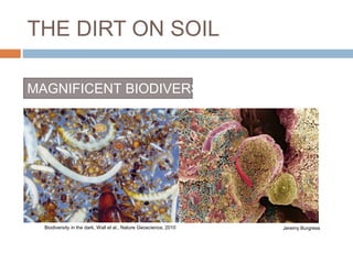 THE DIRT ON SOIL 
MAGNIFICENT BIODIVERSITY 
Biodiversity in the dark, Wall et al., Nature Geoscience, 2010 Jeremy Burgress 
 