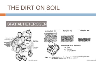 THE DIRT ON SOIL 
SPATIAL HETEROGENEITY 
http://www.fao.org/ www.cnr.uidaho.edu 
 