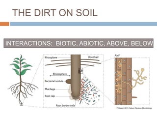 THE DIRT ON SOIL 
INTERACTIONS: BIOTIC, ABIOTIC, ABOVE, BELOW, SCALES 
Philippot, 2013, Nature Reviews Microbiology 
 