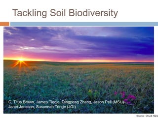 Tackling Soil Biodiversity 
Source: Chuck Haney 
C. Titus Brown, James Tiedje, Qingpeng Zhang, Jason Pell (MSU) 
Janet Jansson, Susannah Tringe (JGI) 
 