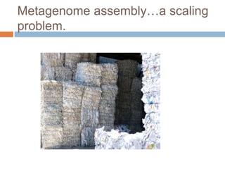 Metagenome assembly…a scaling 
problem. 
 