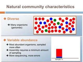Natural community characteristics 
 Diverse 
 Many organisms 
(genomes) 
 Variable abundance 
 Most abundant organisms, sampled 
more often 
 Assembly requires a minimum amount 
of sampling 
 More sequencing, more errors 
Sample 1x 
 