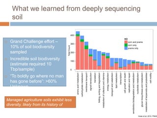 What we learned from deeply sequencing 
soil 
 Grand Challenge effort – 
10% of soil biodiversity 
sampled 
 Incredible soil biodiversity 
(estimate required 10 
Tbp/sample) 
 “To boldly go where no man 
has gone before”: >60% 
Unknown 
400 
300 
200 
100 
0 
amino acid metabolism 
carbohydrate metabolism 
membrane transport 
signal transduction 
translation 
folding, sorting and degradation 
metabolism of cofactors and vitamins 
energy metabolism 
transport and catabolism 
lipid metabolism 
transcription 
cell growth and death 
replication and repair 
xenobiotics biodegradation and metabolism 
nucleotide metabolism 
glycan biosynthesis and metabolism 
metabolism of terpenoids and polyketides 
cell motility 
Total Count 
KO 
corn and prairie 
corn only 
prairie only 
Howe et al, 2014, PNAS 
Managed agriculture soils exhibit less 
diversity, likely from its history of 
cultivation. 
 