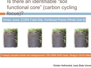 Is there an identifiable “soil 
functional core” (carbon cycling 
focus)? 
Ames, Iowa, COBS Field Site, Fertilized Prairie Whole Soil Samples 
4 deeply sampled whole soil metagenomes (16S rRNA 5000 reads, Shotgun 20-50 million Kirsten Hofmockel, Iowa State University 
 