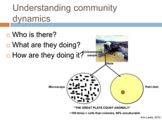 Understanding community 
dynamics 
 Who is there? 
 What are they doing? 
 How are they doing it? 
Kim Lewis, 2010 
 
