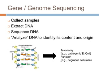 Gene / Genome Sequencing 
 Collect samples 
 Extract DNA 
 Sequence DNA 
 “Analyze” DNA to identify its content and origin 
Taxonomy 
(e.g., pathogenic E. Coli) 
Function 
(e.g., degrades cellulose) 
 