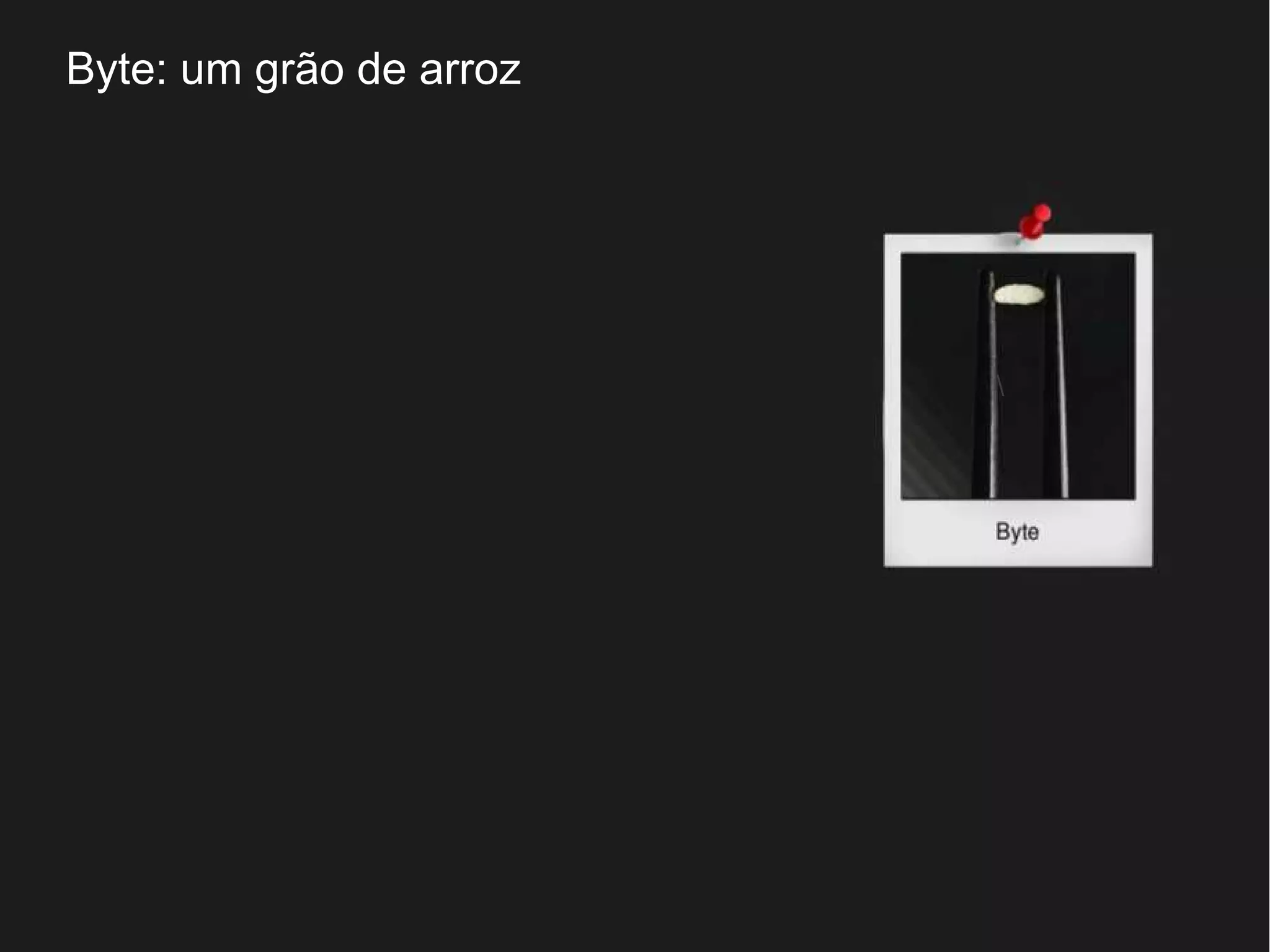 Byte: um grão de arroz 
 