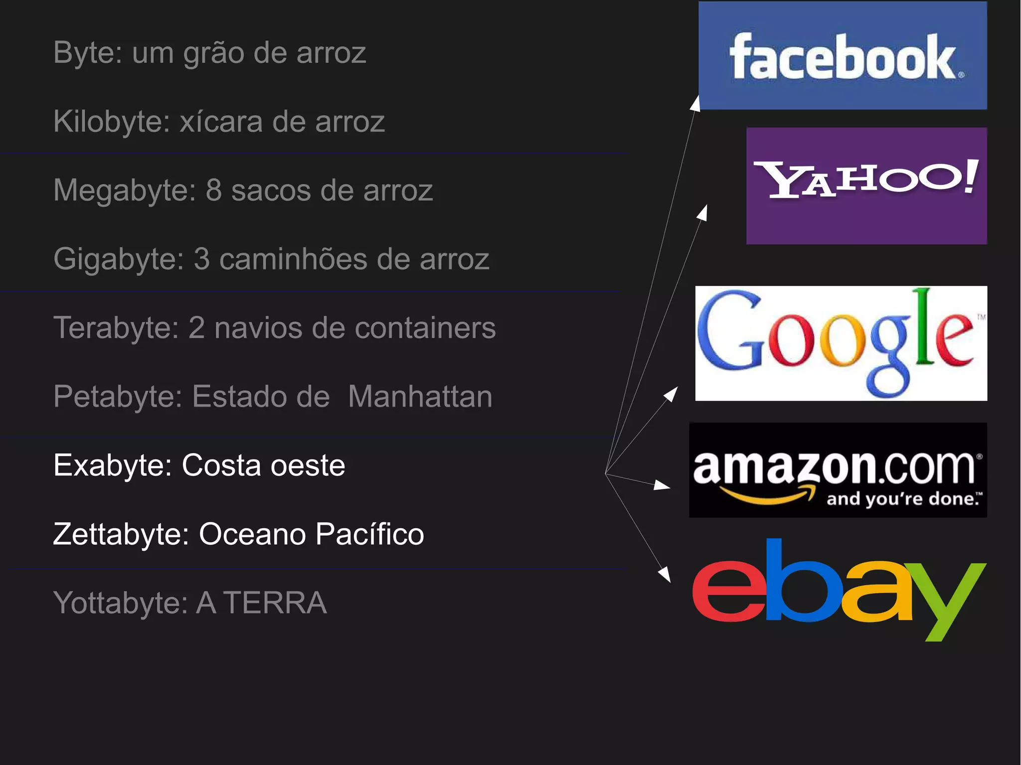 Byte: um grão de arroz 
Kilobyte: xícara de arroz 
Megabyte: 8 sacos de arroz 
Gigabyte: 3 caminhões de arroz 
Terabyte: 2 navios de containers 
Petabyte: Estado de Manhattan 
Exabyte: Costa oeste 
Zettabyte: Oceano Pacífico 
Yottabyte: A TERRA 
 
 