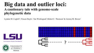 Big data and outlier loci:
A cautionary tale with genome-scale
phylogenetic data
Lyndon M. Coghill1,Vinson Doyle1, Van Wishingrad2,Robert C. Thomson2 & JeremyM. Brown1
1.0 1.0?
 