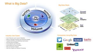 What is Big Data? Big Data Stack
Companies Using Big Data
• Churn Reduction and Customer Retention
• Natural Language Processing and Sentiment Analysis
• Targeted Advertising and Marketing Optimisation
• Personal Recommendation
• Fraud Detection and Prevention
• Social Media and Game Analytics
• Risk and Exposure Analysis
• Real time Insights and Reactive Processing
Industry Use Cases
 