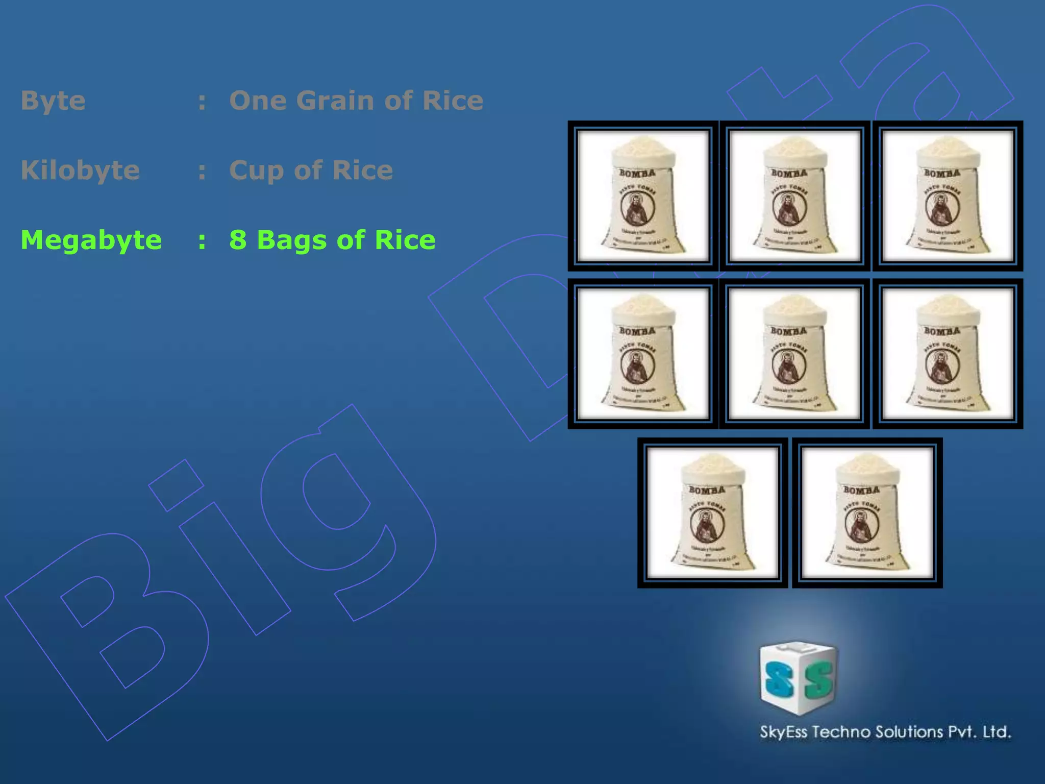 Byte : One Grain of Rice
Kilobyte : Cup of Rice
Megabyte : 8 Bags of Rice
 