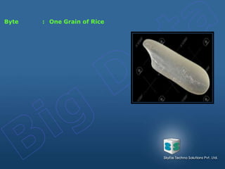 Byte : One Grain of Rice
 