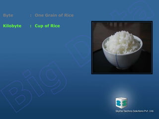 Byte : One Grain of Rice
Kilobyte : Cup of Rice
 