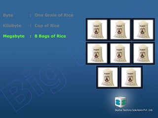 Byte : One Grain of Rice
Kilobyte : Cup of Rice
Megabyte : 8 Bags of Rice
 