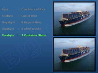 Byte : One Grain of Rice
Kilobyte : Cup of Rice
Megabyte : 8 Bags of Rice
Gigabyte : 3 Semi Trucks
Terabyte : 2 Container Ships
 