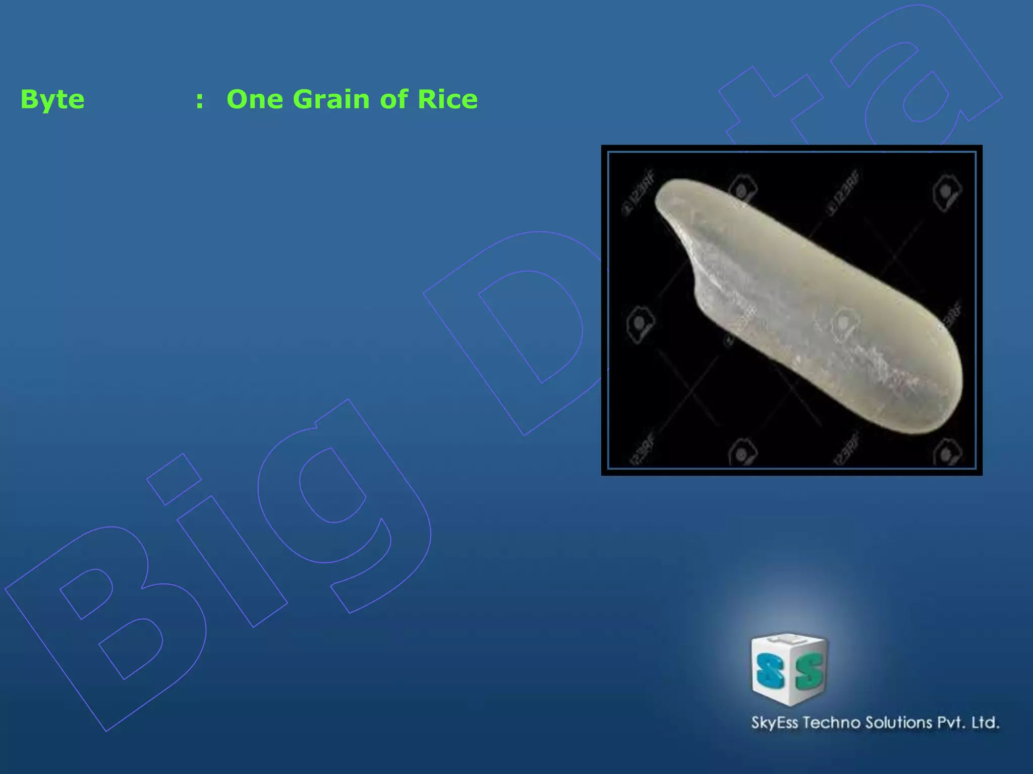 Byte : One Grain of Rice
 