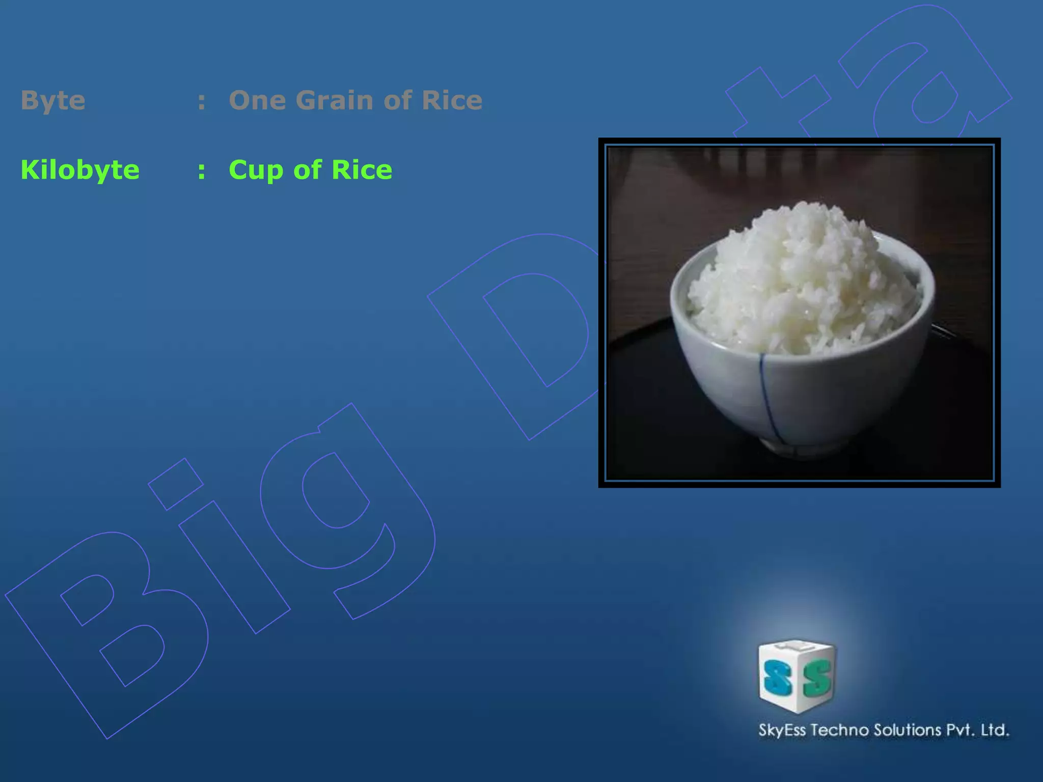 Byte : One Grain of Rice
Kilobyte : Cup of Rice
 