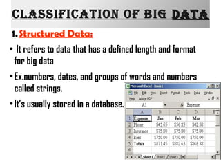 Big  Data Presentation Slide 10