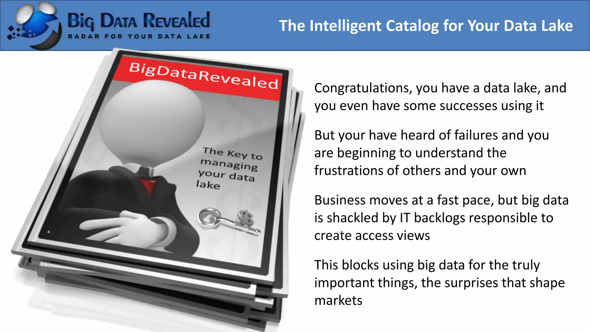 Big datarevealed hadoop catalog PPSX Databases Computer Software