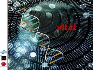 vital
 
