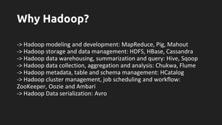 Big Data simplified | PDF