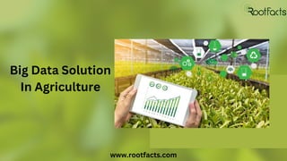 Big Data Solution
In Agriculture
www.rootfacts.com
 