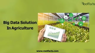 Big Data Solution
In Agriculture
www.rootfacts.com
 