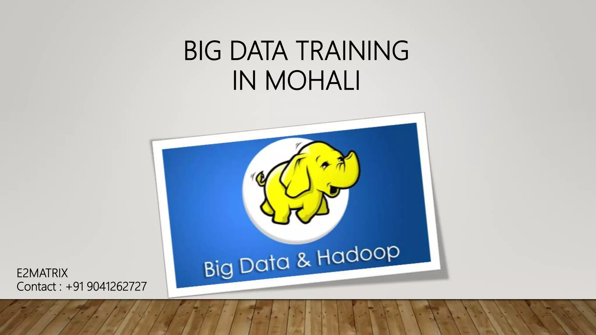 BIG DATA TRAINING
IN MOHALI
E2MATRIX
Contact : +91 9041262727
 