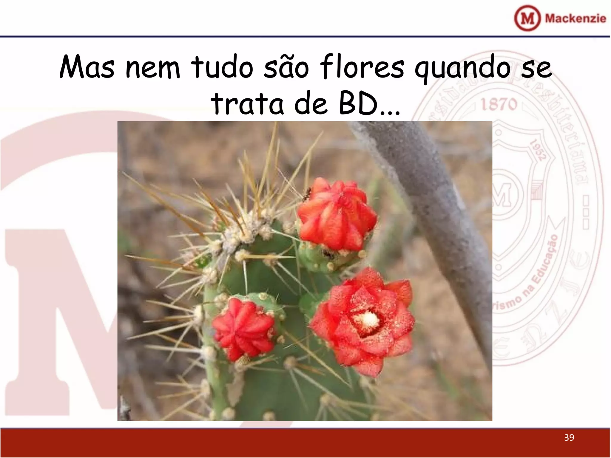 Mas nem tudo são flores quando se
trata de BD...
39
 