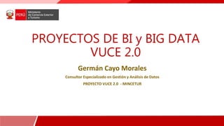 Germán Cayo Morales
Consultor Especializado en Gestión y Análisis de Datos
PROYECTO VUCE 2.0 - MINCETUR
PROYECTOS DE BI y BIG DATA
VUCE 2.0
 