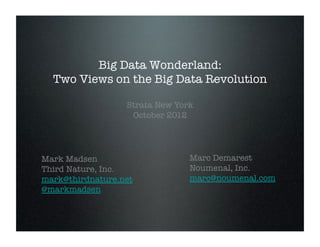 Big Data Wonderland:!
  Two Views on the Big Data Revolution

                   Strata New York
                    October 2012




Mark Madsen
                     Marc Demarest
Third Nature, Inc.
              Noumenal, Inc.
mark@thirdnature.net
            marc@noumenal.com
@markmadsen
 