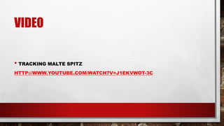 VIDEO
• TRACKING MALTE SPITZ
HTTP://WWW.YOUTUBE.COM/WATCH?V=J1EKVWOT-3C
 