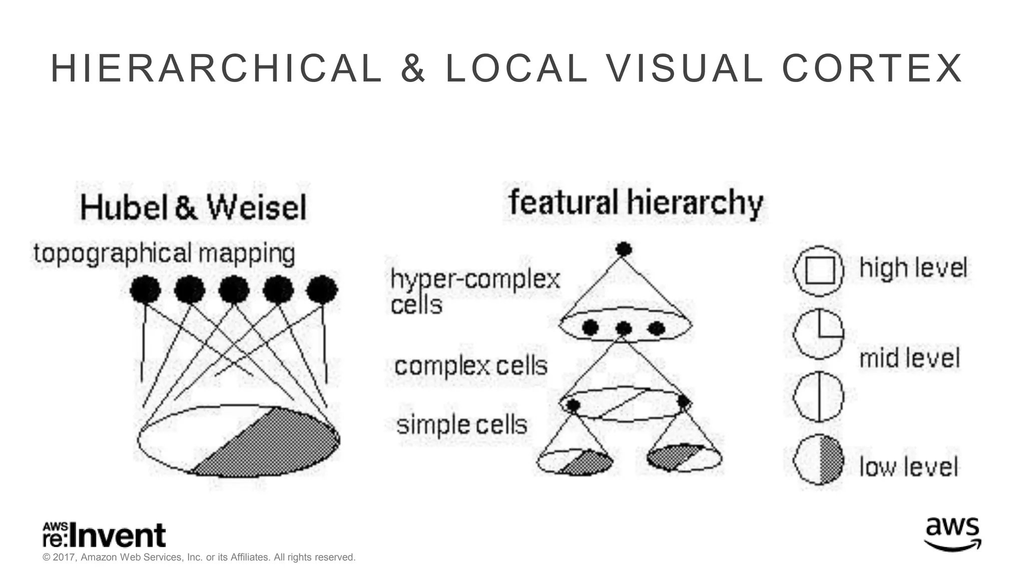 © 2017, Amazon Web Services, Inc. or its Affiliates. All rights reserved. HIERARCHICAL & LOCAL VISUAL CORTEX 