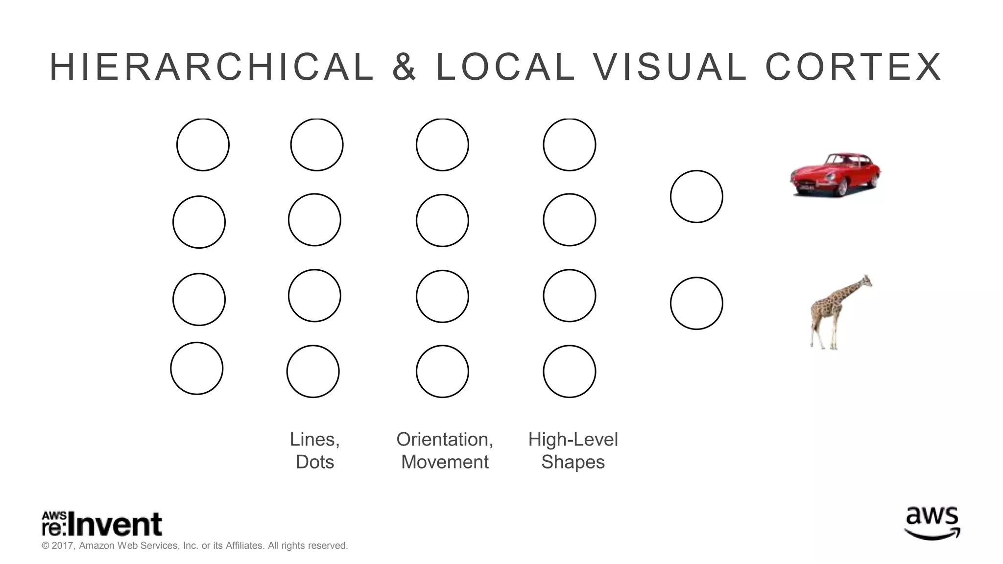 © 2017, Amazon Web Services, Inc. or its Affiliates. All rights reserved. HIERARCHICAL & LOCAL VISUAL CORTEX Lines, Dots Orientation, Movement High-Level Shapes 