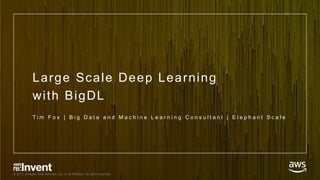 © 2017, Amazon Web Services, Inc. or its Affiliates. All rights reserved.
Large Scale Deep Learning
with BigDL
T i m F o x | B i g D a t a a n d M a c h i n e L e a r n i n g C o n s u l t a n t | E l e p h a n t S c a l e
 