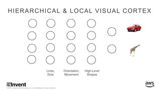 © 2017, Amazon Web Services, Inc. or its Affiliates. All rights reserved.
HIERARCHICAL & LOCAL VISUAL CORTEX
Lines,
Dots
Orientation,
Movement
High-Level
Shapes
 