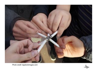 Photo credit: bigstockimages.com
 