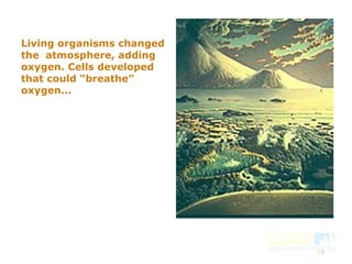 19
Living organisms changed
the atmosphere, adding
oxygen. Cells developed
that could “breathe”
oxygen...
 