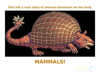 25
MAMMALS!
This left a new class of animals dominant on the land.
 