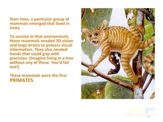 Over time, a particular group of
mammals emerged that lived in
trees.
To survive in that environment,
these mammals needed 3D vision
and large brains to process visual
information. They also needed
hands that could grip with
precision. (Imagine living in a tree
without any of these. You’d fall
out!)
These mammals were the first
PRIMATES.
26
 