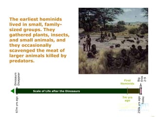 First
Hominids
7m yrs
ago
The earliest hominids
lived in small, family-
sized groups. They
gathered plants, insects,
and small animals, and
they occasionally
scavenged the meat of
larger animals killed by
predators.
Dinosaurs
Disappear
67myrsago
250kyrsago
Today
Scale of Life after the Dinosaurs
Big
Eras
2-9
 