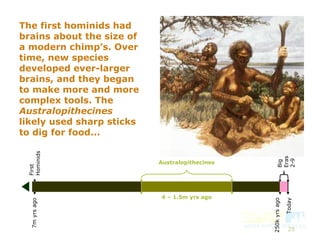 29
4 – 1.5m yrs ago
Australopithecines
7myrsago
First
Hominids
250kyrsago
Today
The first hominids had
brains about the size of
a modern chimp’s. Over
time, new species
developed ever-larger
brains, and they began
to make more and more
complex tools. The
Australopithecines
likely used sharp sticks
to dig for food...
Big
Eras
2-9
 