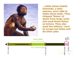 30
Homo habilis
2.4 – 1.6m yrs ago
250kyrsago
Today
4myrsago
Australopithecines
1.5myrsago
Big
Eras
2-9
...while Homo habilis
hominids, a later
species, were able to
make stone tools. They
chipped ‘flakes’ of
stone from large rocks
and used those flakes
as knives. They also
used the leftover ‘core’
to scrape out hides and
do other jobs.
 